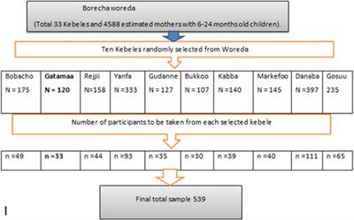 Hygienic practice during complementary feeding and associated factors among mothers of children aged 6–24 months in Borecha Woreda, southwestern Ethiopia: a community-based cross-sectional study